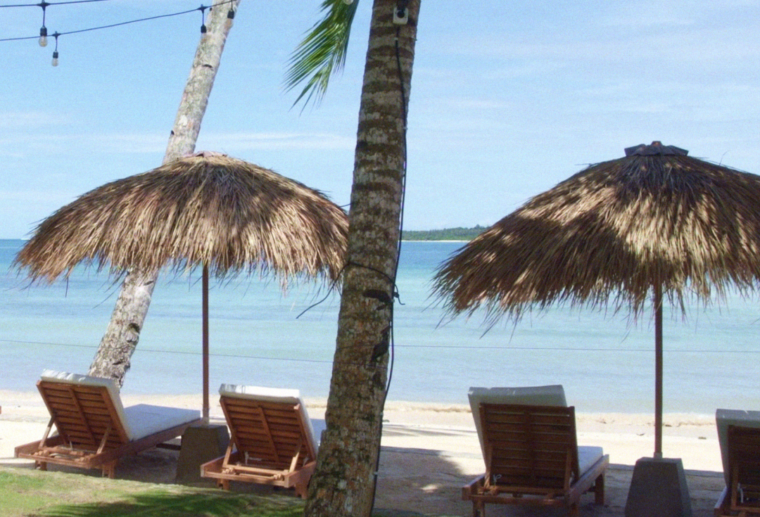 A beach photo from Mentawai, featuring sunbeds lined up under a tall palm tree