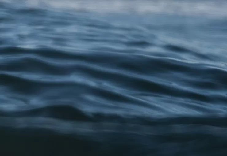 A close-up of the water surface, with deep, dark tones reflecting the light