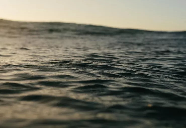 A close-up of the surface of the sea gently reflecting the soft light colors of the sunset